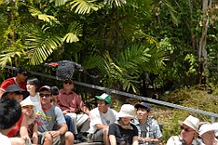 0058 Cairns Tropical Zoo